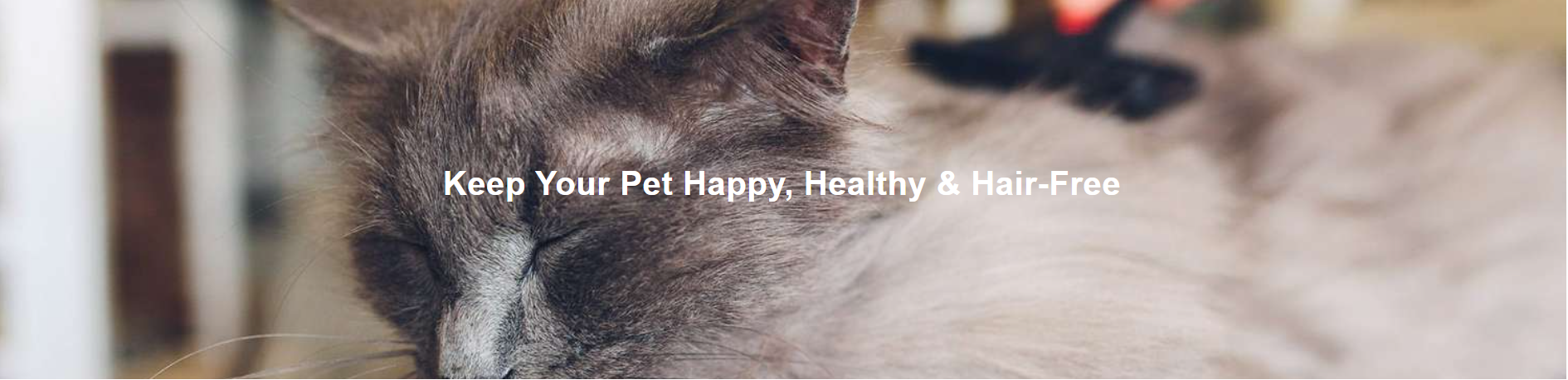 Keep Your Pet Happy, Healthy & Hair-Free