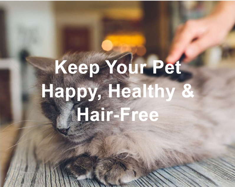 Keep Your Pet Happy, Healthy & Hair-Free